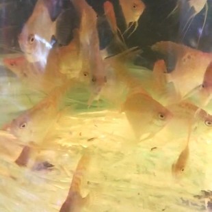 �ʯ���������~ �����~ �����~ �����~