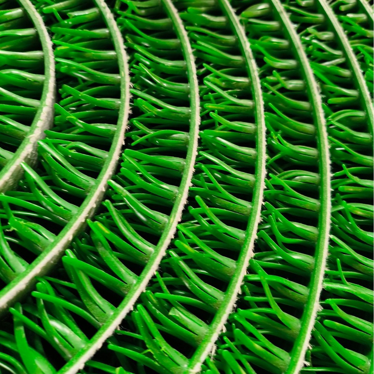 2025-05-20 10:20:06.jpg