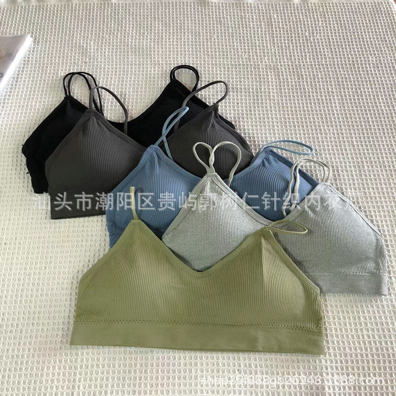 微信图片_20230605163911