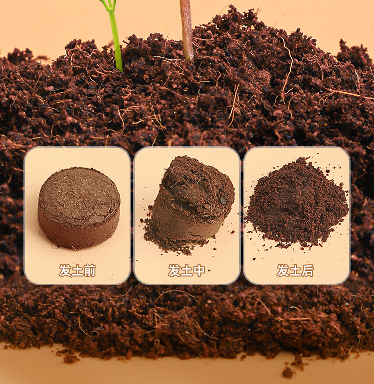 阳光种植小屋详情 (17).jpg