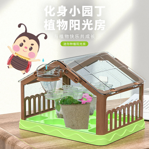 Children's mini planting sunroom scientific plant observation experiment kindergarten primary school students planting flowers and building toys