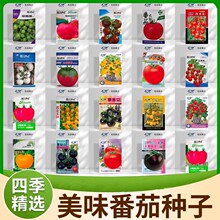 �S�����l��ζ���ѷN�Ӵ�ȫ�tɫ�����}Ů�����t���ļ�����ˮ���N��