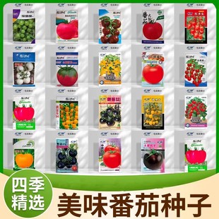 �S�����l��ζ���ѷN�Ӵ�ȫ�tɫ�����}Ů�����t���ļ�����ˮ���N��