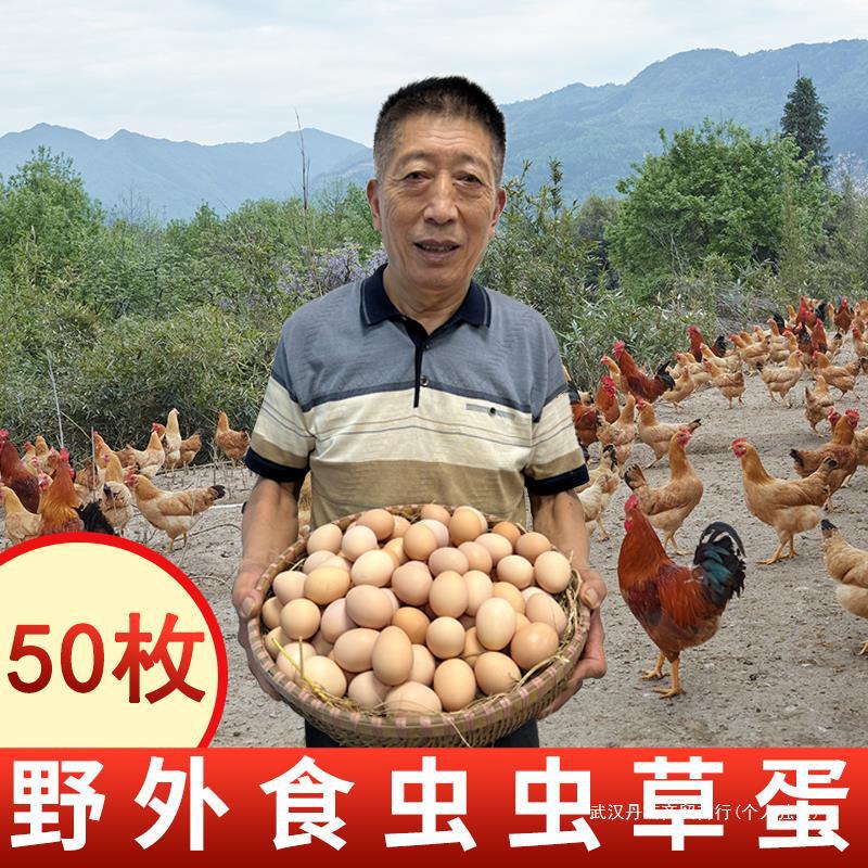 农家散养土鸡蛋整箱50枚山林放养虫草蛋五谷鸡蛋30枚批发
