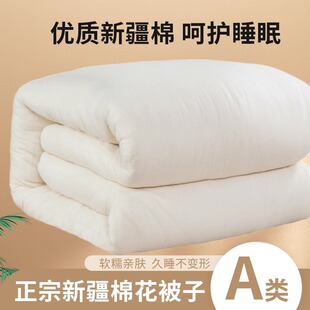 �½��޻������������ı�һ���޻���о�W�����ᱻ��̥���ӼӺ��ޱ�