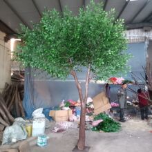 �����Ř�Ƶ��쾰����Gֲ�b�c�̈����P������ͼ��Ř��S�