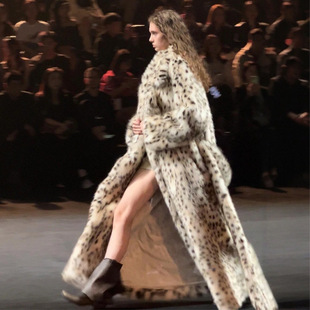 �W���羳���lƤëһ�w2025�¿�����y�L��h��Ƥ��ëë����Ů��