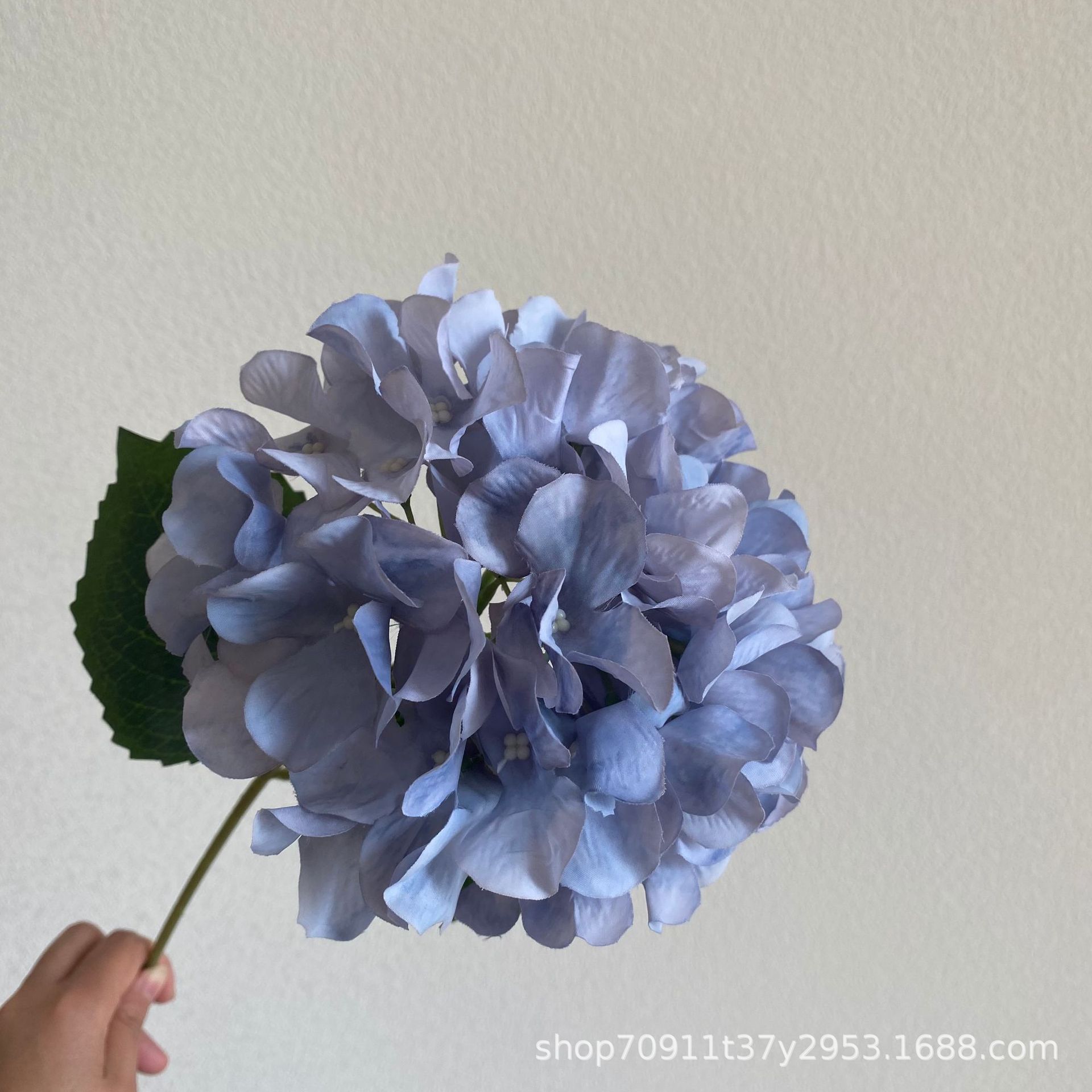 헤이즈 블루