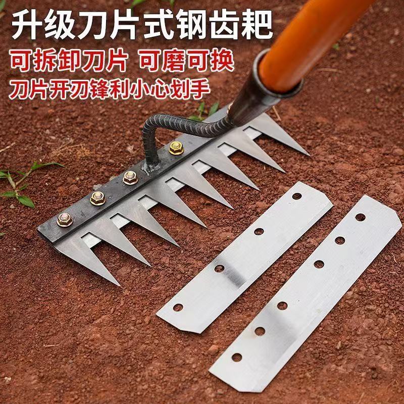 微信图片_202504101034492.jpg