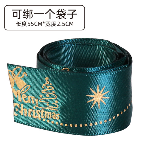 Christmas green ribbon.jpg