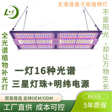 出口品质量子板植物灯五路开关三星灯珠明纬电源全光谱补光灯240W
