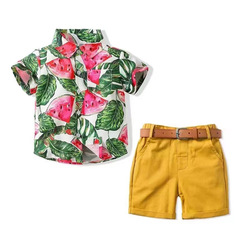 跨境 男童套裝夏季新款沙灘服1.2.3.4歲休閒海邊度假印花童裝代發