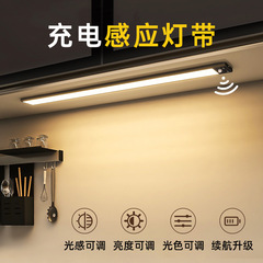 Ledワインキャビネットのライトは充電式の人体の感応の灯条の食器棚の台所の箪笥の子の下駄箱の無線の自己接着の磁気吸引を持ちます。