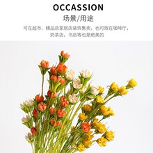 ���Ͽ��Ĺ�����Цճ���ɻ�����ʮ�ֹ��ֹ����ϼҾ���װ�廨����