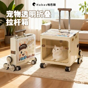 �������������¿��������؈����\�ۯB���U�������y؈��؈��