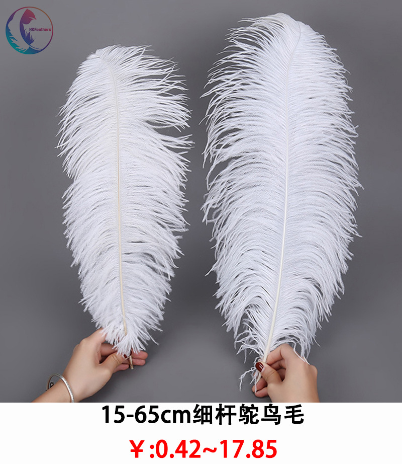 细杆鸵鸟毛