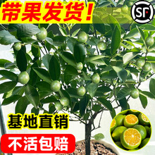 С��������С��ۘ亣��С��ۙ������Ә������̨ˮ��������ȫ