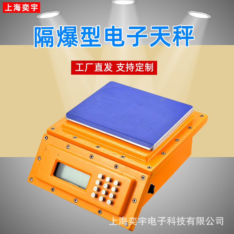 防爆电子称