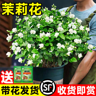 �����������ļ��_���������Ϙ����ˮ���d�ӻ��ܾGֲ���҃Ⱥ��B