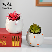 東恆 復活節蛋殼多肉植物盆栽擺件 跨境陶瓷花盆多肉花盆外貿出口