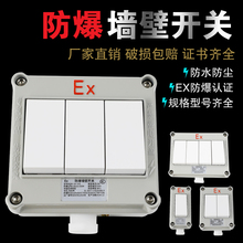 防爆墙壁开关SW-10A单双控86方型照明开关220/380V防水防尘1开2开