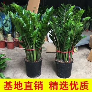 ���X����ֲ���Gֲ�X������ؔ�͏d�ļ�����lؔ�辰2��14�հl��