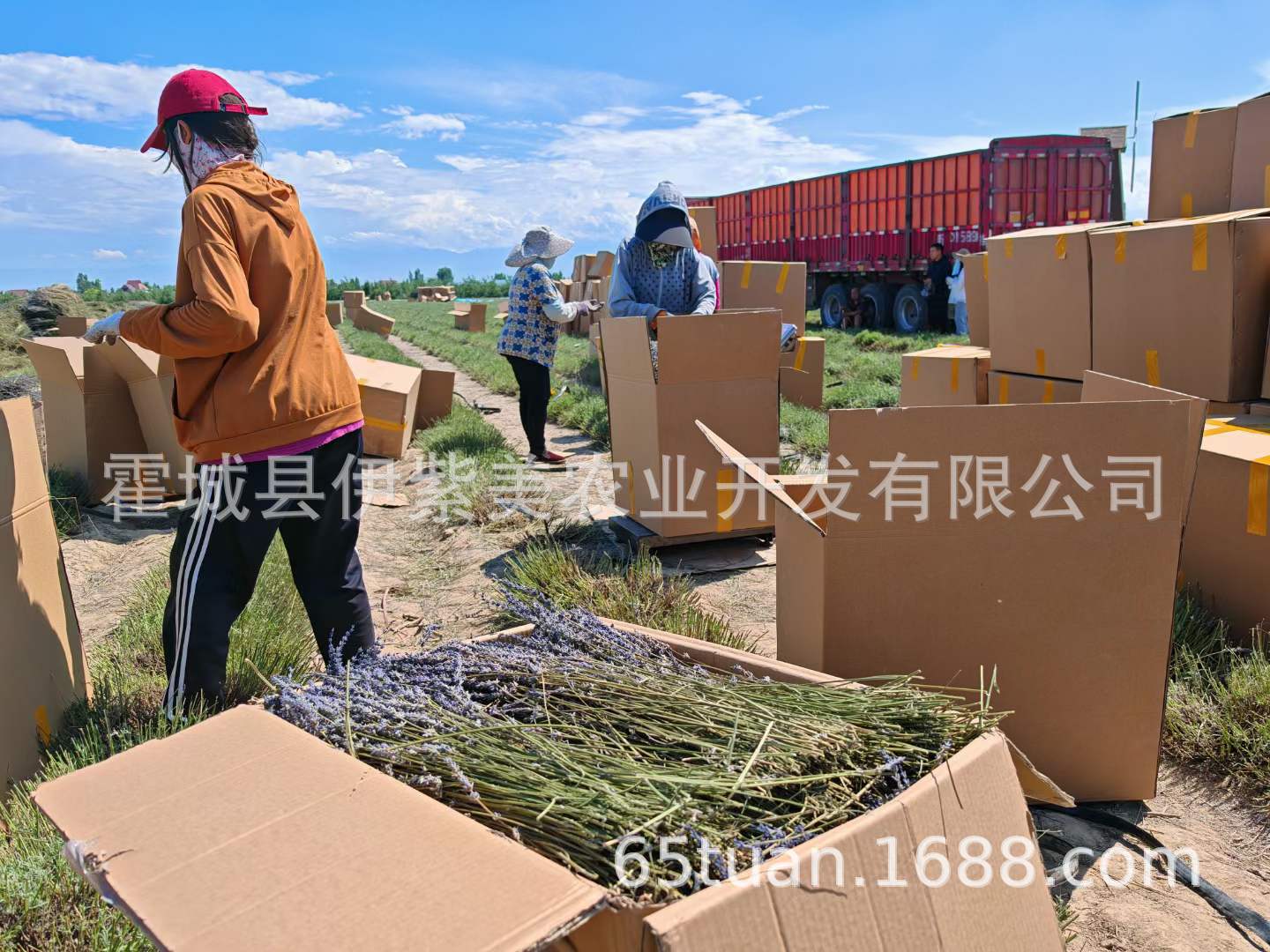 微信图片_20240711190955