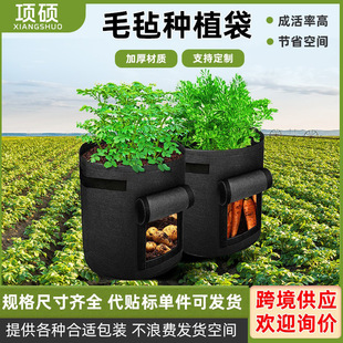 �羳���lë�֟o���������������R����Nֲ���Nֲ��ľ�@ˇ�羳���N