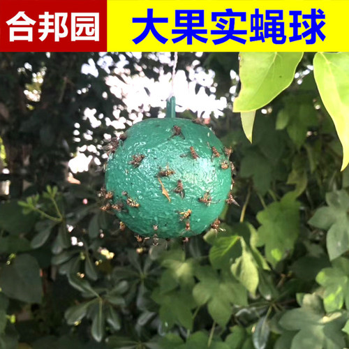 Bait Ball Fruit Tree Pest-Preventive Citrus Fruit Tree Insect-Attracting Ball Pest-Attracting Ball Pest-Preventive Ball Melon and Fruit Large Fruit Fly Bait Ball