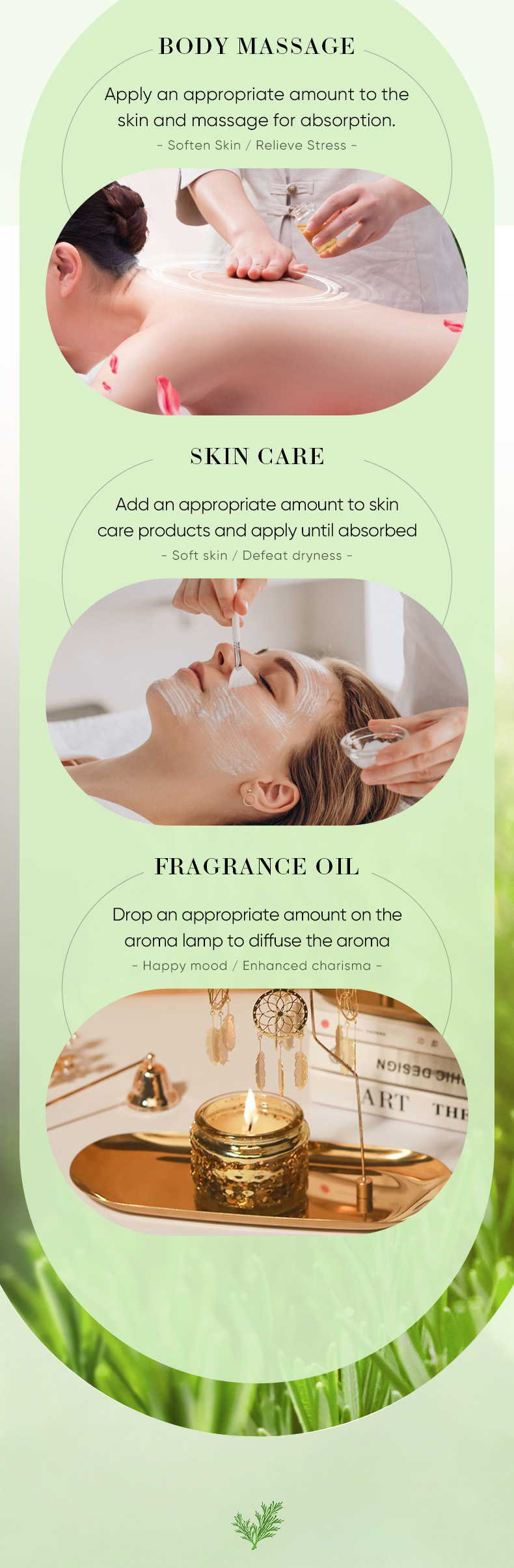 Essential Oil Vocabulary Words/Name Plant Personal Care Skin Care display picture 15