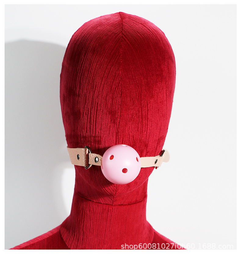 Adult Oral Ball Gag with Nipple Clamps and Anal Plug, ABS Bondage Training Kit — detail image 19