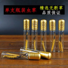特大虫草0.8克一根冬虫夏草头期正品干货虫草整条独立瓶装
