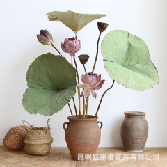 Rhapsody [八重の蓮の花びら] 中国禅スタイルの天然乾燥蓮の葉と蓮の穂のドライフラワー卸売禅スタイル