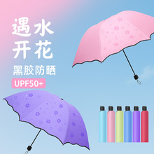 遇水开花三折叠伞黑胶防风遮阳防晒伞手动晴雨两用太阳伞厂家批发