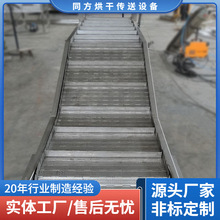 同方供应小型链板喂料机 不锈钢链板平台提升机 爬坡提升上料机