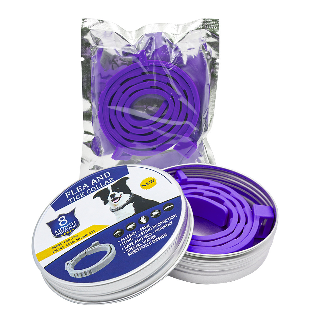 강아지용 보라색 실리콘 목걸이 (박스 포장)