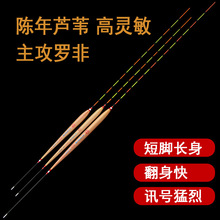 灵龙至尊罗非漂高灵敏鲫鱼漂短脚细长身罗飞鱼漂底钓漂芦苇浮漂