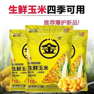 �����~�D���r�������������w����C�D��Ұ����~�c�~���~�N�쌣��