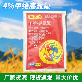 �I�S4%�׾S���ȷ��rș�r���߲˹Ϲ����������x���x����Ч�������