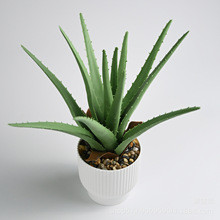 ����ܛ�z�J�C���Ԅ���Ҿ��b[���S�����l�ָ��z�Gֲ����