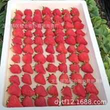 ݮdb/ݮbd/ݮкd/ݮĭ/ݮd|