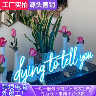 Foreign Trade Acrylic Light Sign Led Luminous Letter Light Shape Party Festival Atmosphere 12V Single Color Neon Light Sign
