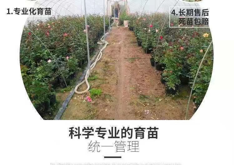 c6ef0dae-c0a8-4c6e-8595-eafc725f1075.jpe