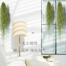 ՚P҃Իkҵb˟oGֲȩ