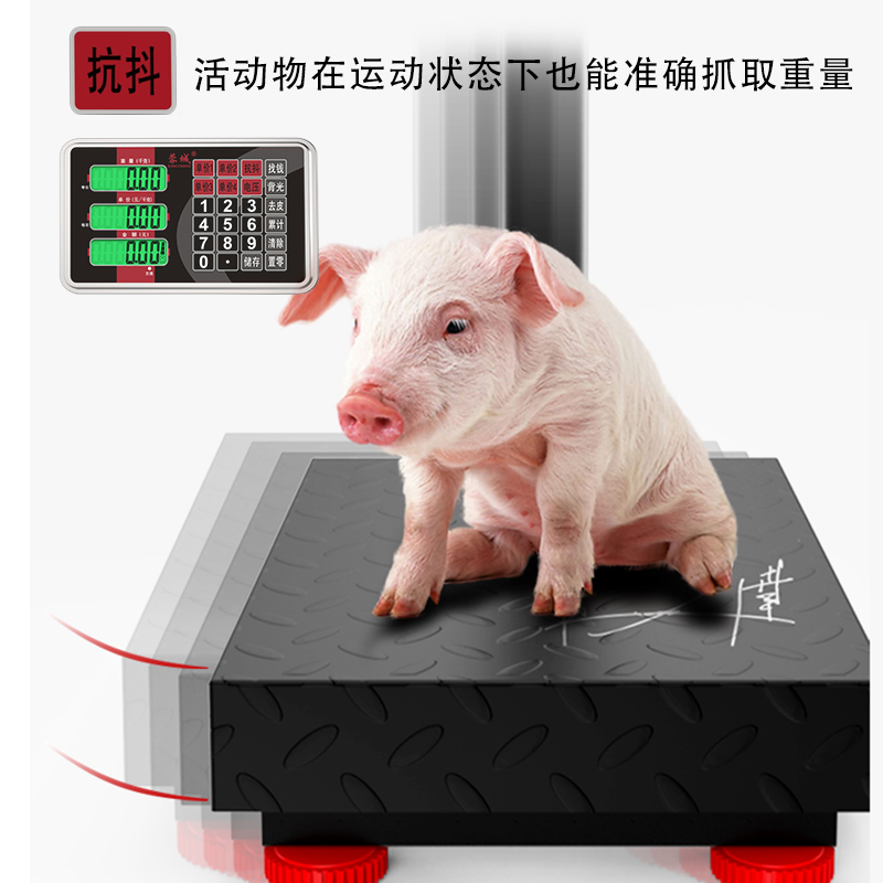 High-precision electronic scale commercial platform scale household small 100kg scale platform scale 150 vegetable market scale weighing