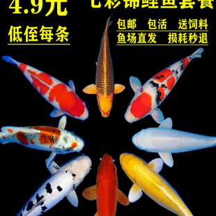 �\���~���^�p�~���w��ˮ���N�\���t���~��ˮС�ͺ��B�ͻ����~