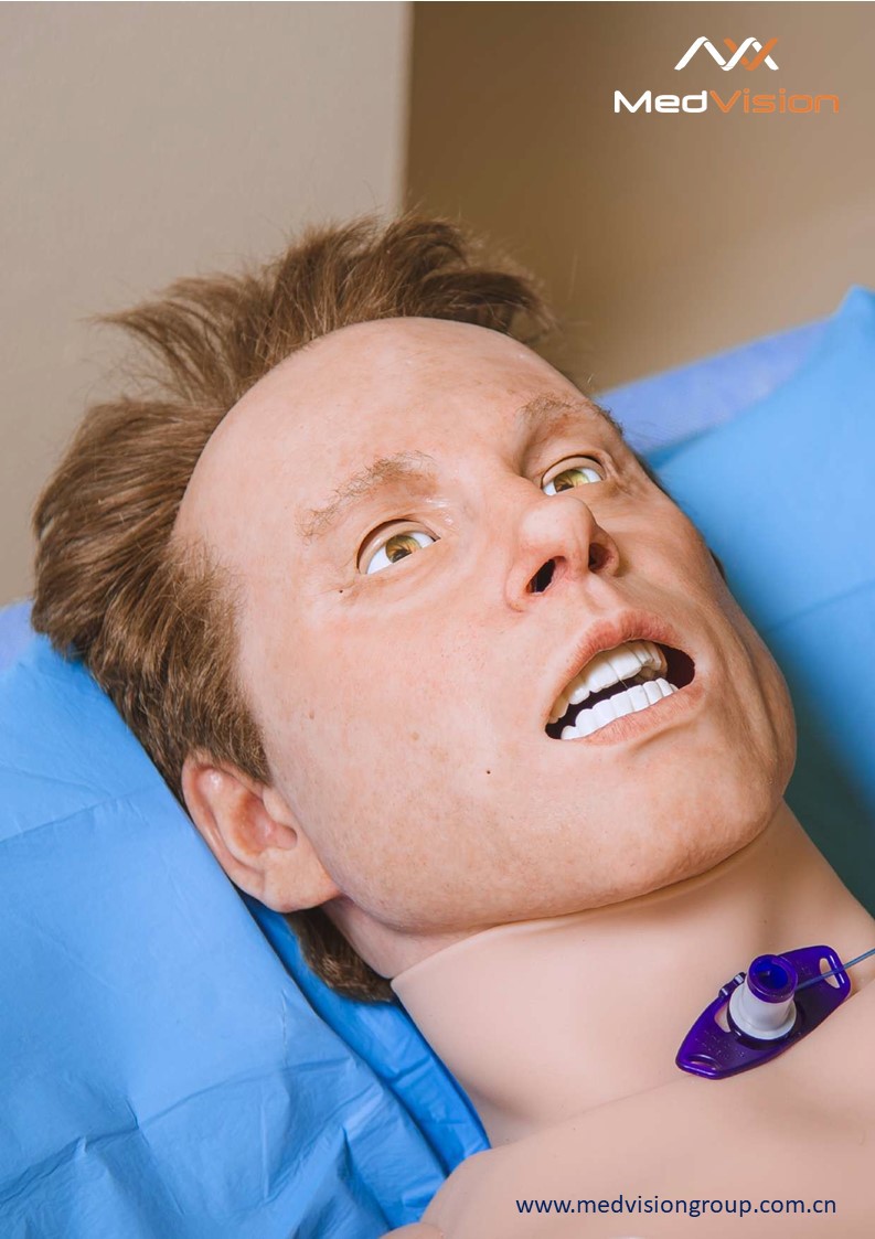 Leonardo  VR���˻���ģ����