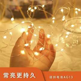LED灯串串灯彩色暖色任选鲜花礼盒节日装饰用品无线不插电圣诞