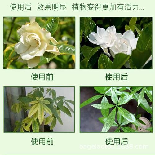 Factory direct sales ferrous sulfate gardening slow-release fertilizer controlled-release fertilizer granular fertilizer to adjust soil pH 360g