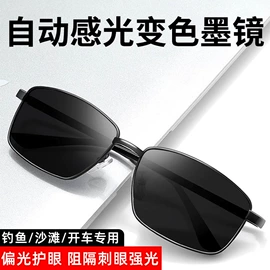 框架眼镜;太阳镜;老花镜